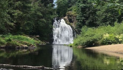 A serene waterfall cascades into a calm pool, surrounded by lush greenery and trees.