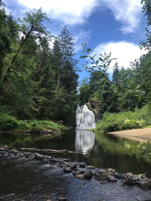 A serene waterfall cascades into a calm pool, surrounded by lush green trees and a bright blue sky.