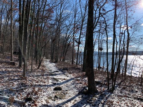 A snowy path through a forest by a lake, with bare trees and sunlight reflecting on the water.
