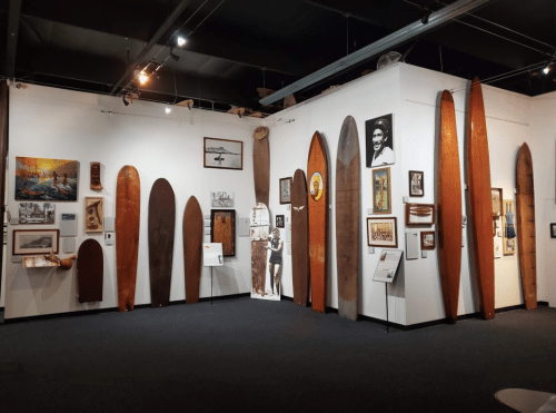 A gallery wall displaying vintage surfboards and framed photographs in a museum setting.