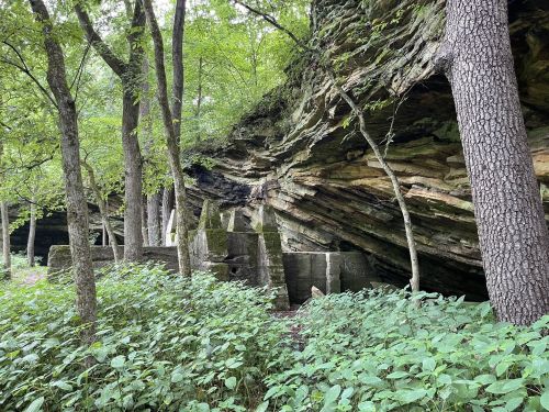 A rocky outcrop surrounded by trees and greenery, with large stone blocks partially hidden in the underbrush.