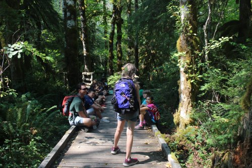 A group of people resting on a wooden path in a lush, green forest. One person stands with a backpack.