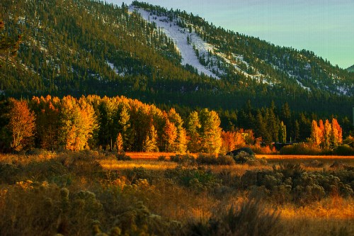 A vibrant landscape featuring autumn trees in shades of orange and yellow, set against a mountain backdrop.