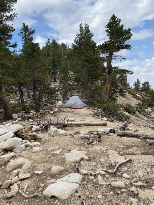 A tent set up on a rocky path surrounded by trees and boulders in a mountainous area.