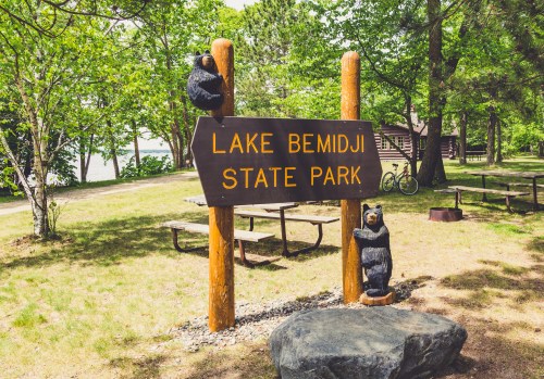 Sign for Lake Bemidji State Park with bear carvings, surrounded by trees and picnic tables.