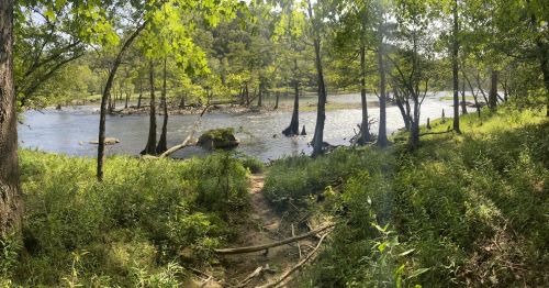A serene river scene surrounded by lush greenery and trees, with sunlight filtering through the leaves.