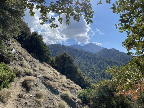 A scenic view of a mountainous landscape with trees and a clear blue sky dotted with clouds.