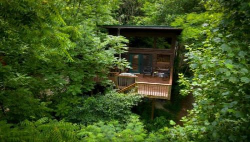A cozy wooden cabin nestled among lush green trees, featuring a deck and outdoor seating.