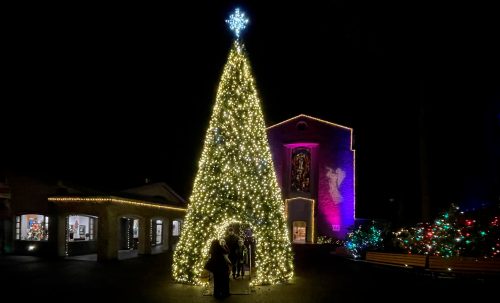 A brightly lit Christmas tree stands in a festive setting at night, with colorful lights and a building in the background.