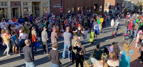 A large crowd gathers on a street for a festive event, with people in costumes and children enjoying the celebration.