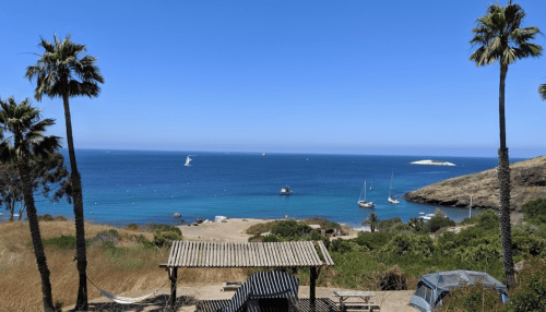 A serene beach view with palm trees, a hammock, and boats on calm blue waters under a clear sky.