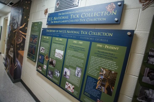 Informative display about the U.S. National Tick Collection, detailing its history and significance.