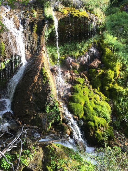 A serene waterfall cascading over moss-covered rocks, surrounded by lush greenery and vibrant vegetation.