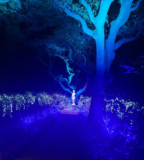 A serene garden at night, illuminated by blue lights, featuring a statue and a large tree.