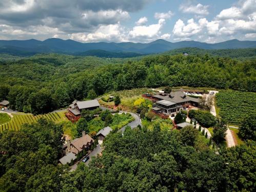 Aerial view of a vineyard estate surrounded by lush greenery and mountains under a partly cloudy sky.