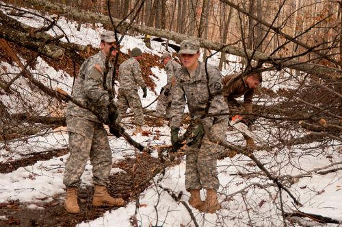 Soldiers in camouflage uniforms clear fallen branches in a snowy forest during a training exercise.