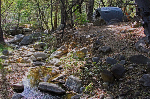 A serene campsite by a rocky stream, surrounded by trees and dappled sunlight. A tent is set up in the background.