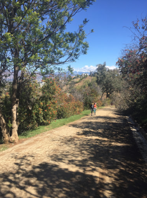 Two people walk along a dirt path surrounded by trees and greenery under a clear blue sky.