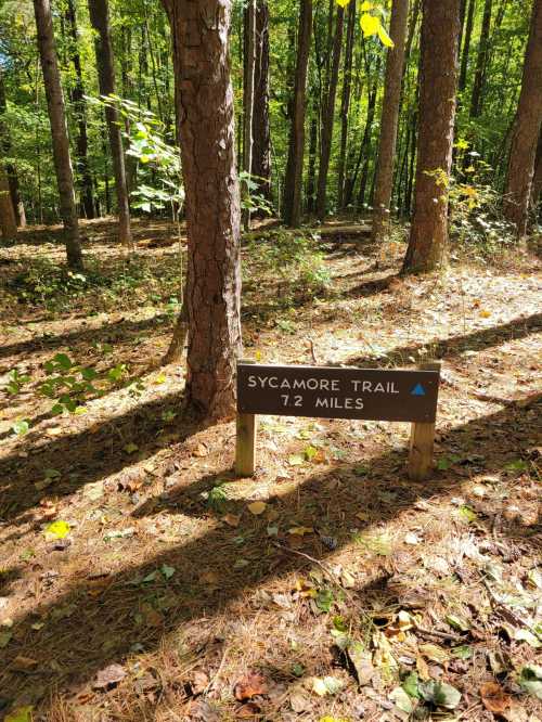 Sign for Sycamore Trail, indicating a distance of 7.2 miles, surrounded by trees in a forested area.