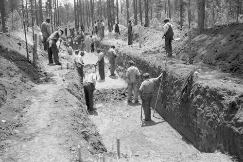 Workers digging trenches in a wooded area, with several people using tools and observing the excavation process.