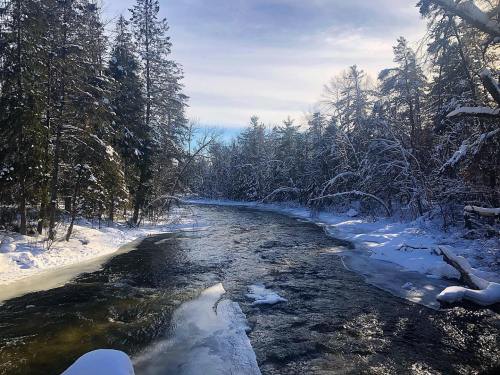 A serene winter scene of a river surrounded by snow-covered trees under a clear blue sky.