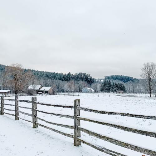 A snowy landscape with a wooden fence, trees, and distant farm buildings under a cloudy sky.