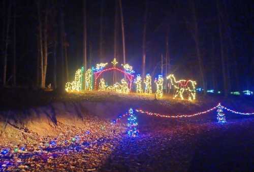 A festive display of colorful Christmas lights depicting a nativity scene in a wooded area at night.