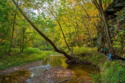 A serene forest scene with a winding creek, vibrant autumn foliage, and two people exploring near a rocky outcrop.