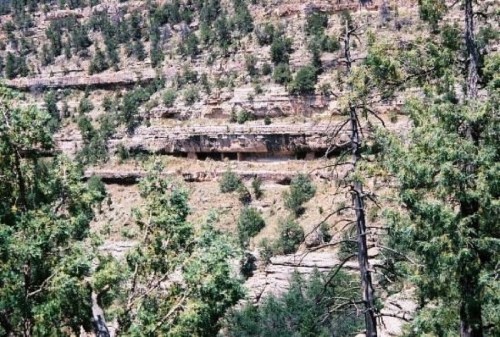A rocky cliffside with sparse trees, revealing a natural ledge and rugged terrain in a mountainous landscape.