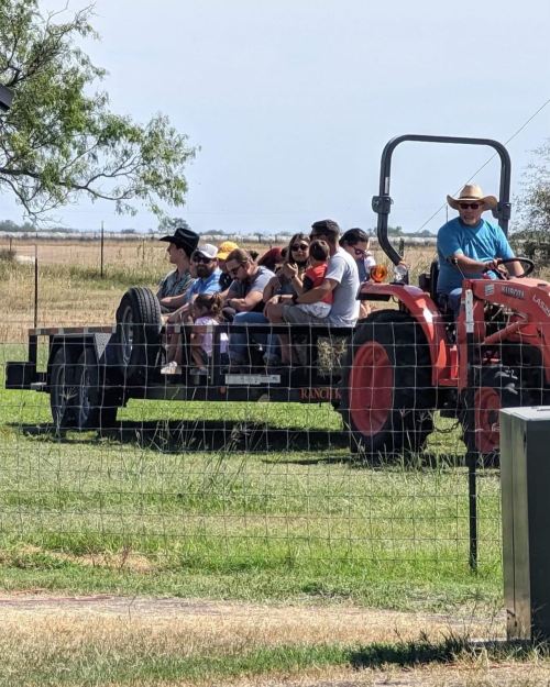 A group of people sitting on a trailer pulled by a tractor in a grassy field on a sunny day.