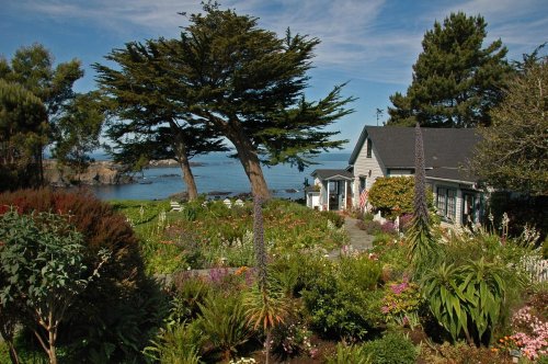 A coastal home surrounded by a lush garden, with trees and a view of the ocean under a clear blue sky.