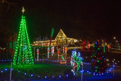 Colorful Christmas lights illuminate trees and decorations in a festive outdoor display at night.