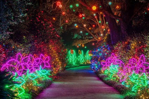 A vibrant pathway illuminated with colorful flower-shaped lights and hanging orbs, surrounded by lush greenery.