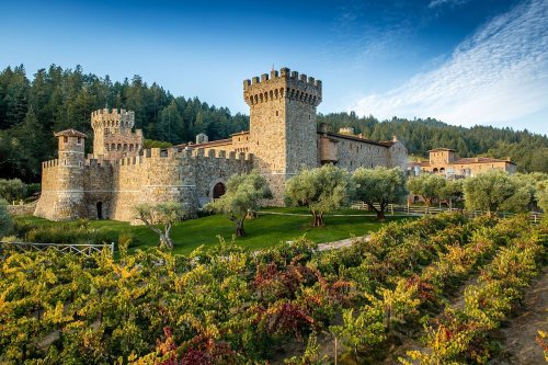 A picturesque stone castle surrounded by lush vineyards and trees under a clear blue sky.