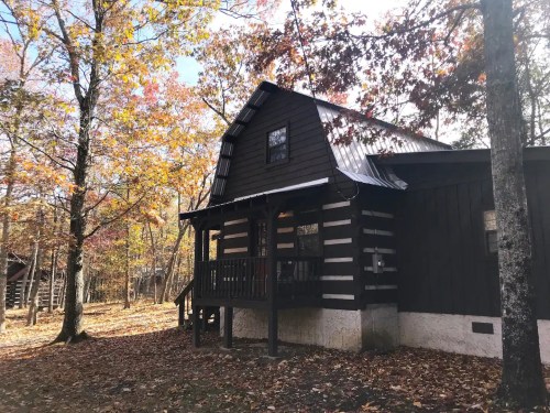 A rustic log cabin surrounded by colorful autumn trees and fallen leaves.