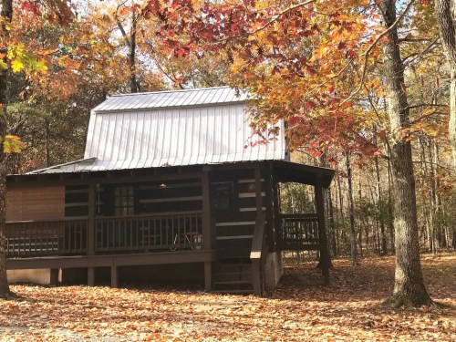 A cozy log cabin surrounded by autumn leaves and trees, featuring a metal roof and a porch.