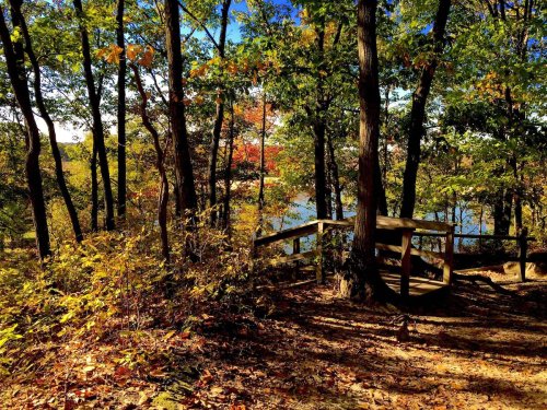 A serene forest scene with colorful autumn leaves, a wooden path, and a glimpse of water through the trees.