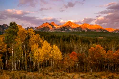 Sunset over mountains with golden peaks, surrounded by vibrant autumn trees in a serene landscape.