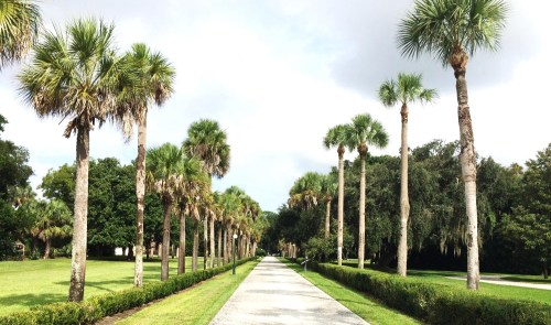 A scenic pathway lined with tall palm trees, surrounded by lush greenery under a partly cloudy sky.