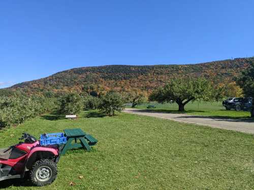 A scenic view of an orchard with colorful autumn trees, a dirt path, and an ATV parked nearby under a clear blue sky.