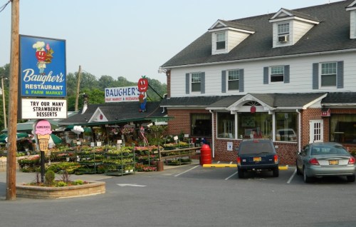A restaurant and farm market with a colorful sign, surrounded by plants and flowers, in a quaint rural setting.