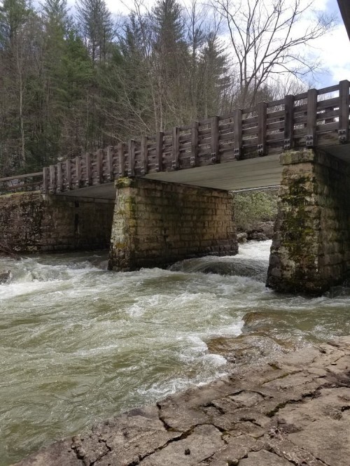 A stone bridge spans a rushing river, surrounded by trees and rocky banks under a cloudy sky.