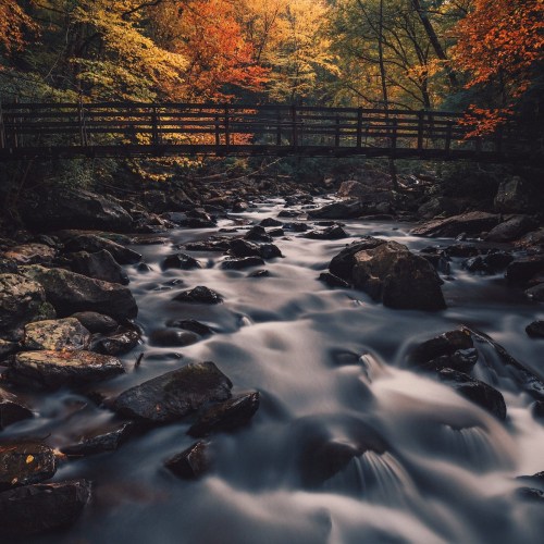 A serene river flows under a wooden bridge, surrounded by vibrant autumn foliage and rocky banks.
