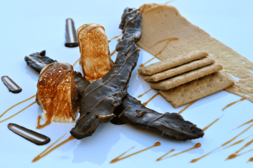 A gourmet dessert plate featuring chocolate-covered treats, caramel sauce, and graham crackers on a white background.