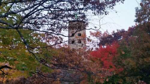 A tall tower peeks through colorful autumn trees, surrounded by vibrant red and orange foliage.