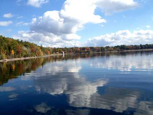 A serene lake reflecting clouds and colorful autumn trees under a bright blue sky.