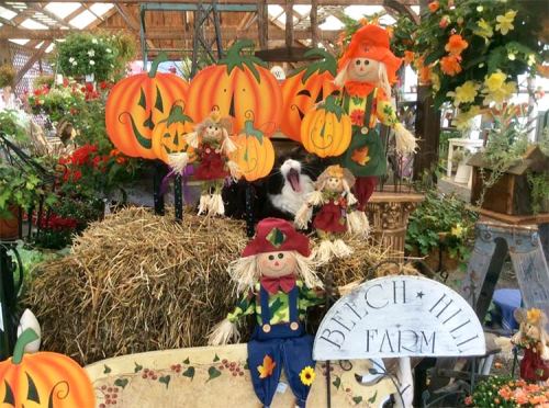 Colorful scarecrows and pumpkins decorate a farm scene with flowers and hay bales in a festive autumn setting.