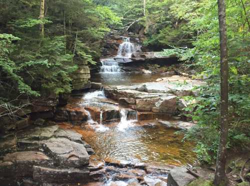 A serene forest scene featuring a cascading waterfall over rocky terrain, surrounded by lush green trees.