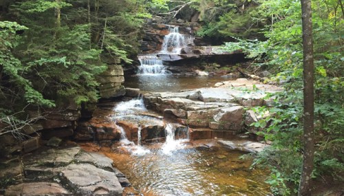 A serene forest scene featuring a cascading waterfall over rocky terrain, surrounded by lush green trees.