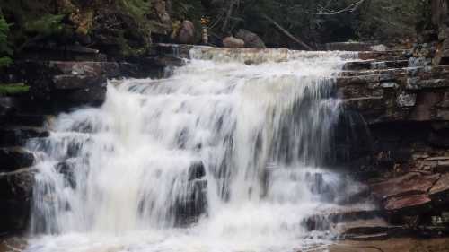 A cascading waterfall flows over rocky steps, surrounded by lush greenery and trees.